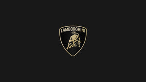 Evolution in Motion: Lamborghini's Subtle Logo Redesign