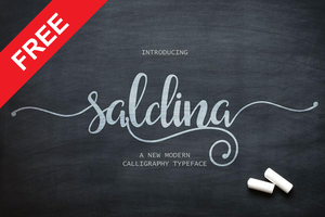 Saldina Free Font - Pixellogo