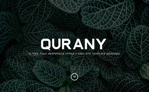 Qurany Free Font - Pixellogo