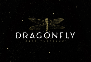 Dragonfly Free Font - Pixellogo