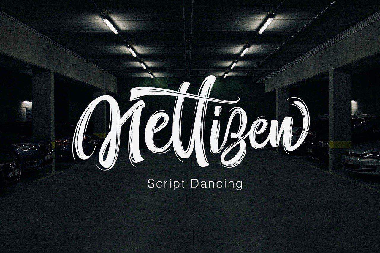 Nettizen Free font - Pixellogo