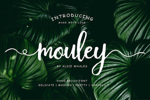 Mouley free font - Pixellogo