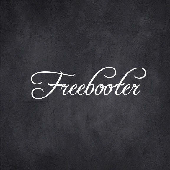 freebooter free font - Pixellogo