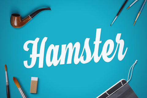 Hamster Free Cool Script font - Pixellogo