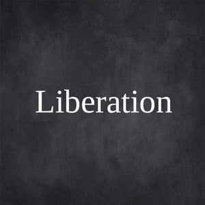 liberation free font - Pixellogo
