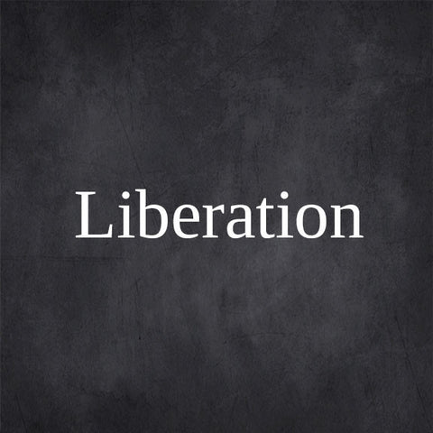 liberation free font - Pixellogo